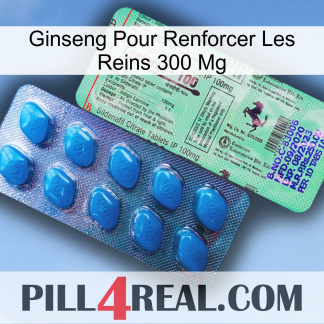 Ginseng For Reinforcing Kidney 300 Mg new02